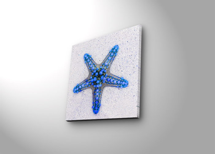 Wallity Lienzo Decorativo Iluminado con LED 28x28 cm Multicolor